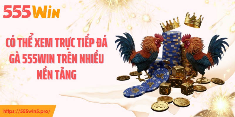 Có thể xem trực tiếp đá gà 555WIN trên nhiều nền tảng