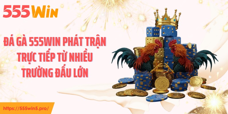 Đá gà 555WIN phát trận trực tiếp từ nhiều trường đấu lớn