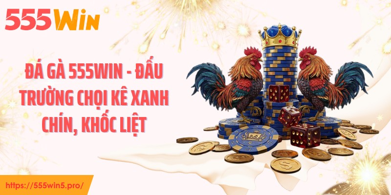 Đá Gà 555WIN - Đấu Trường Chọi Kê Xanh Chín, Khốc Liệt