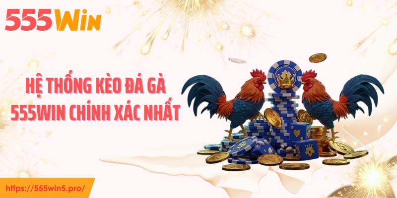 Hệ thống kèo đá gà 555WIN chính xác nhất